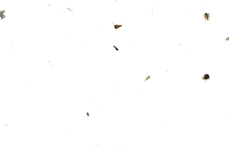Image 106